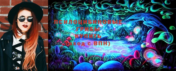 ПСИЛОЦИБИНОВЫЕ ГРИБЫ Осташков