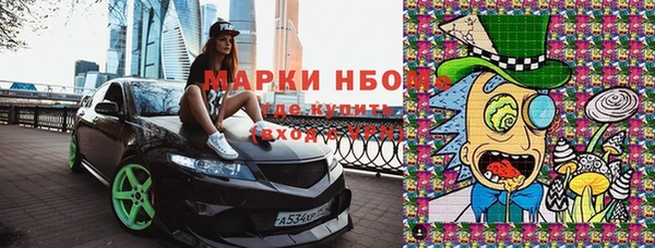ПСИЛОЦИБИНОВЫЕ ГРИБЫ Осташков