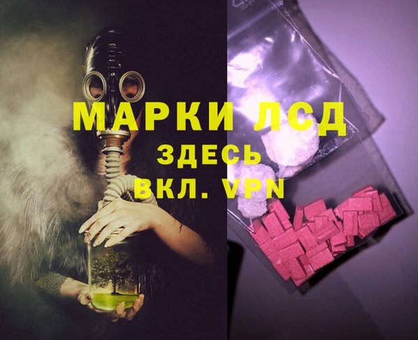 ПСИЛОЦИБИНОВЫЕ ГРИБЫ Осташков