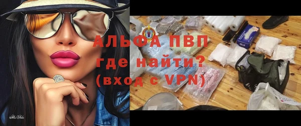 ПСИЛОЦИБИНОВЫЕ ГРИБЫ Осташков